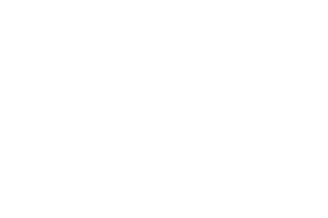 Agencia BRI