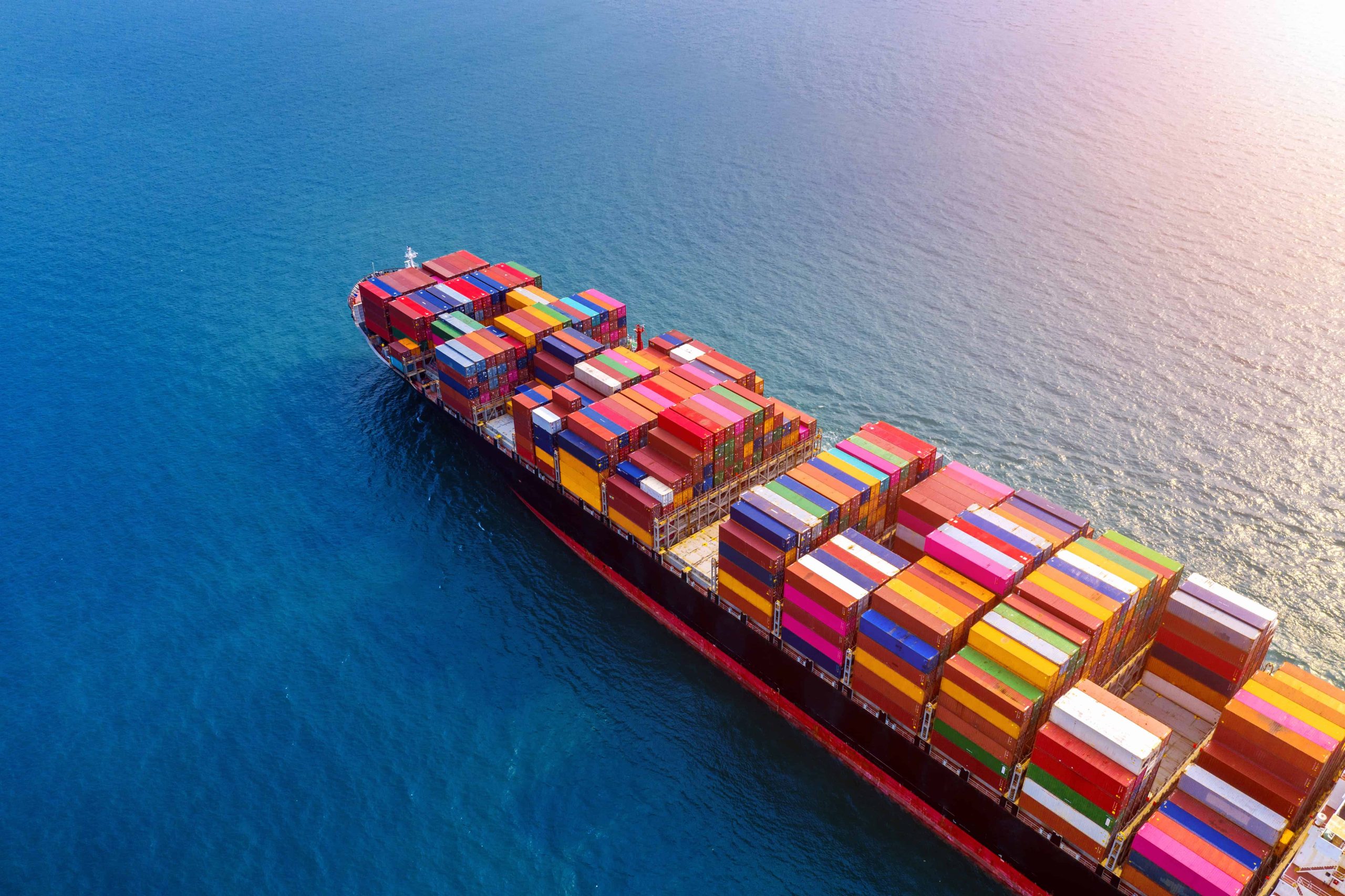 WEBINAR: ANAGENA abordará la importación de productos pesqueros junto a SERNAPESCA