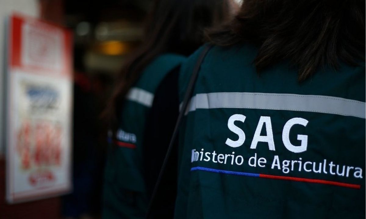 SAG establece restricciones sanitarias para importaciones aviares provenientes de Santa Catarina, Brasil